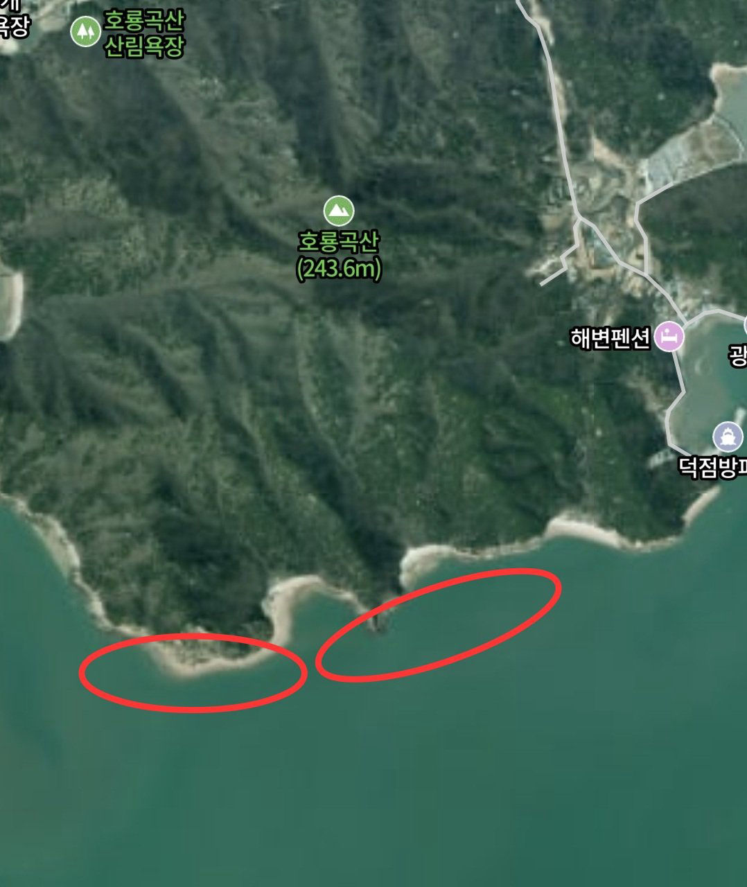 무의도 세렝게티 진입 위치 지도